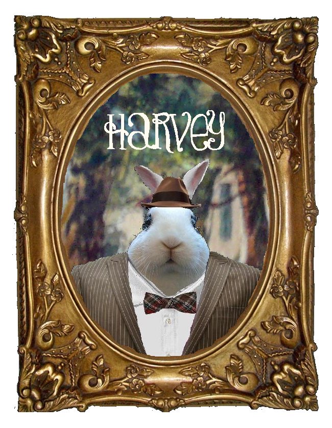 Harvey poster